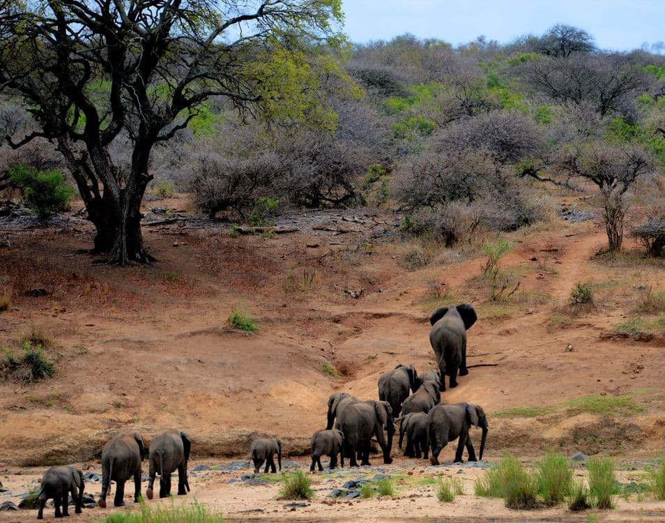 Hwange National Park